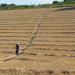 Walk from Huggies to North Oakley