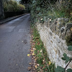 Buckland Dinham Lower St Clean up