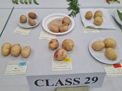 Bucklebury and Marlston Horticultural Society Summer Show 2026