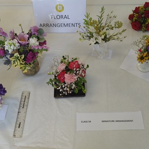 Miniature arrangements
