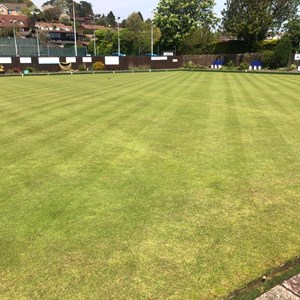 Dinas Powys Bowling Club Club Gallery