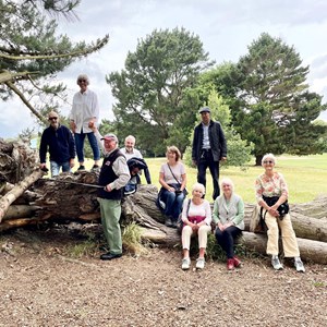 Circle of Friends CIC About Circle of Friends