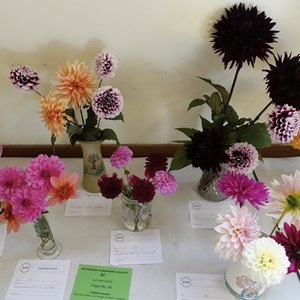 BETHERSDEN GARDENERS' SOCIETY Photo Gallery