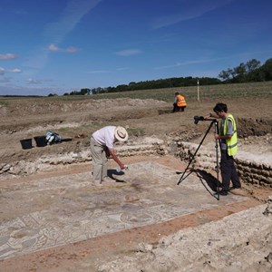 What was particularly thrilling was to find that tesserae were still present and in formation under the damaged floor level where roof tiles had punched the floor into the softer than expected sand screed layer.