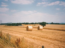 Bramdean & Hinton Ampner Parish Council Home