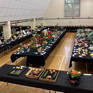Mannings Heath & District Horticultural Society Summer Show 2025