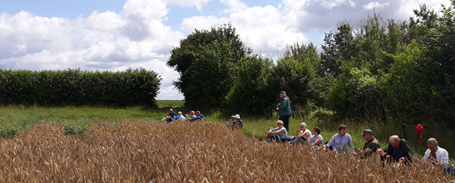 Lunch in the sun, 28th July 2021 ©EH