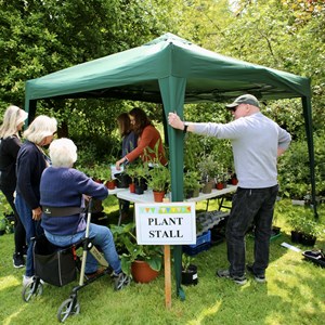 Berwick St James Parish Berwick Village Fayre - 8th June 2025