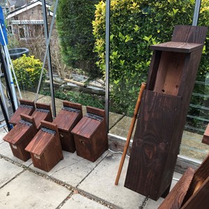 Bird and owl nesting boxes ready for installation