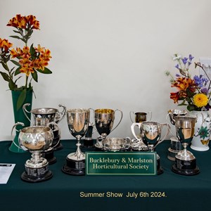 Bucklebury and Marlston Horticultural Society Summer Show Report 2024