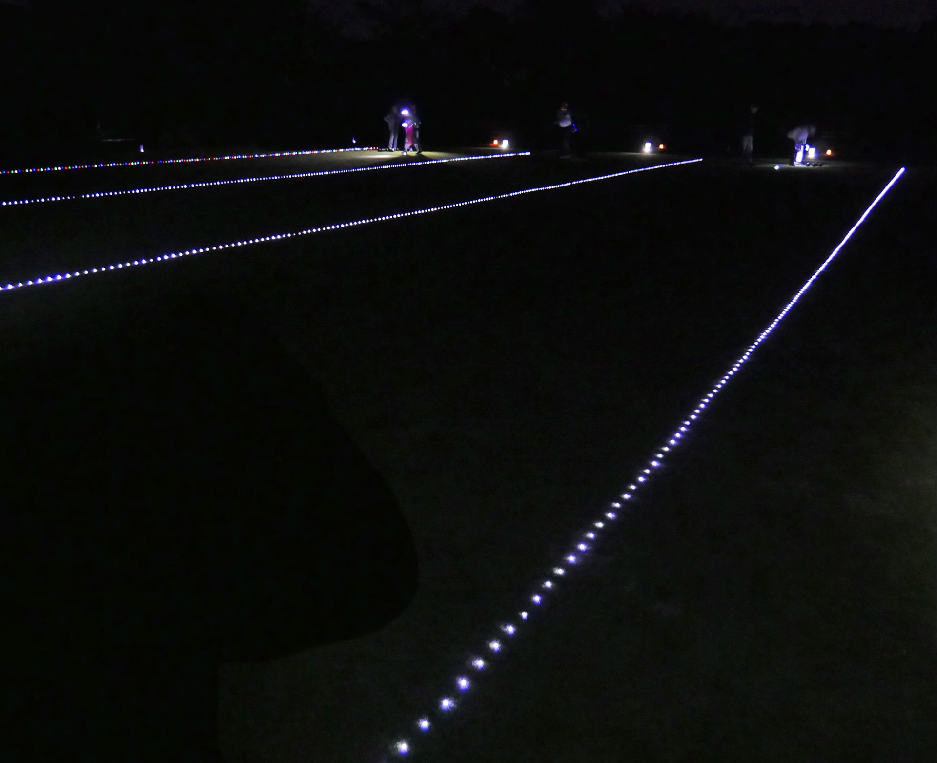 Anyone Seen the Jack?