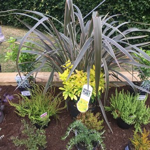Planters at the crossroads being planted