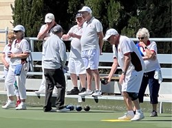 Henfield Bowling Club The Bowls