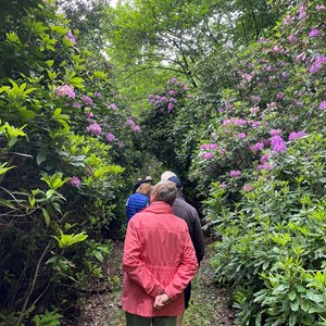 Bucklebury History Group Events