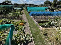 Cliffe and Cliffe Woods Parish Council Allotments