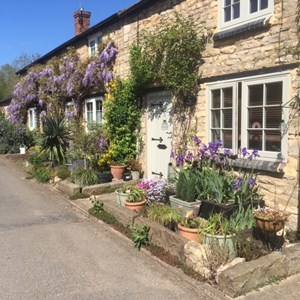 Cottages in bloom