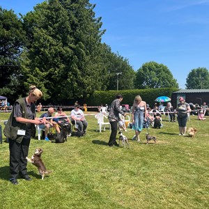 Whixall Social Centre Whixall Dog Show 2023 Report and Phots