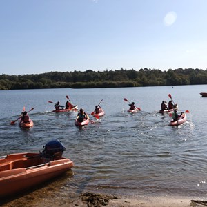 Hampshire Young Carers Alliance Support for young carers