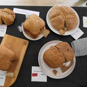 Goodworth Clatford Parish Council  Fete 2026 photos