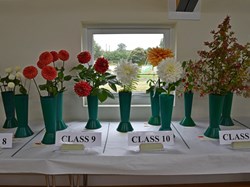 Bucklebury and Marlston Horticultural Society Autumn Show 2024