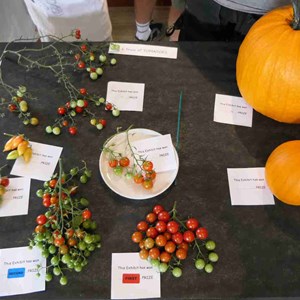 Goodworth Clatford Parish Council  Fete 2026 photos