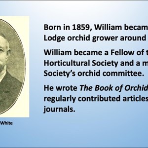 Mickleham & Westhumble Local History Group Not Such Everyday Lives