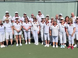 Henfield Bowling Club The Bowls