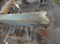 Column base infested with woodworm
