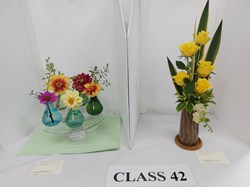 Bucklebury and Marlston Horticultural Society Summer Show Report and Awards 2025