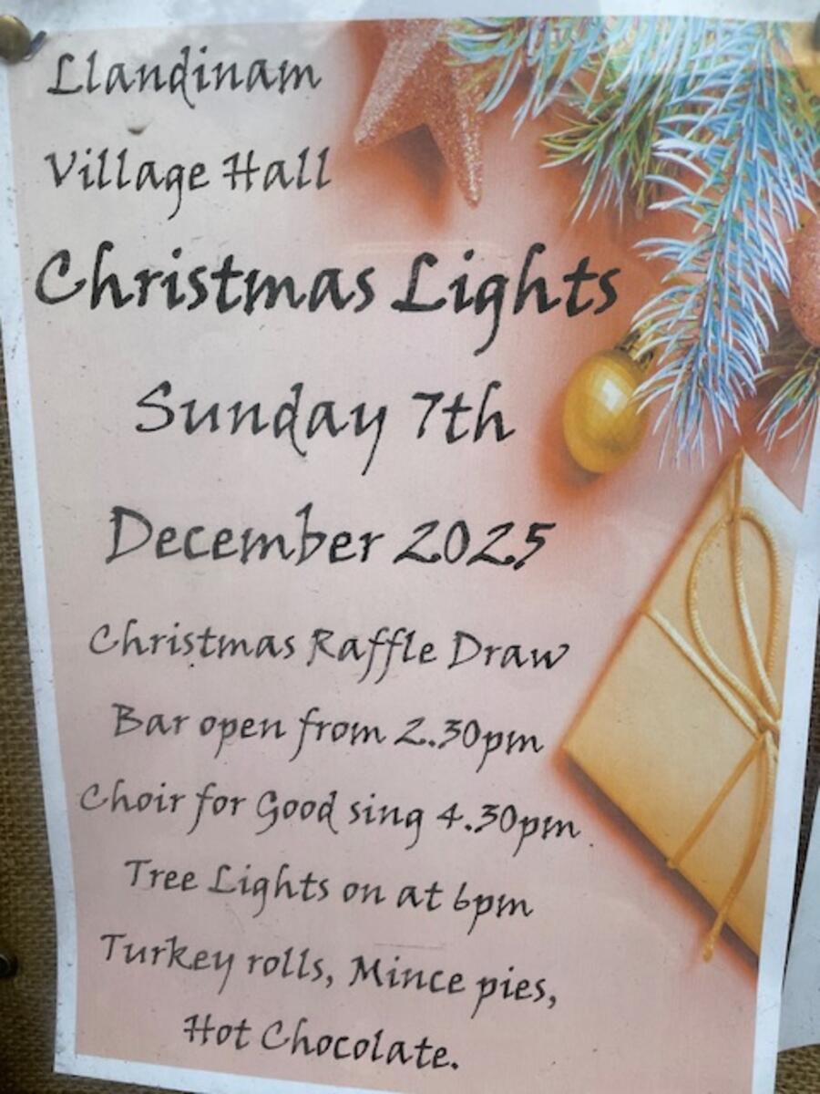 Christmas Lights Switch On