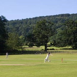 Cricket in West Bagborough