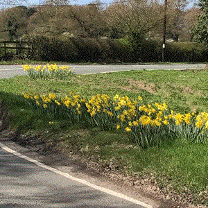 Moston Parish Council Parish Pics