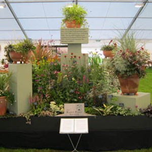 Gold medal display at Southport Flower Show