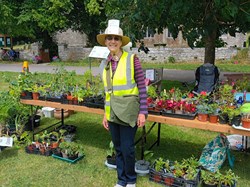 Martinstown Village Hall Open Gardens 2025