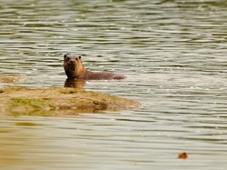 Photo by Stephen Lloyd-Smart