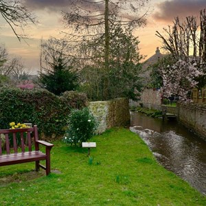 BISHOP MONKTON TODAY Home