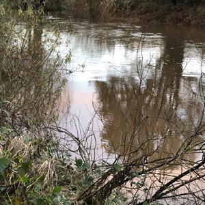 Asenby Parish Council Riverside Walk