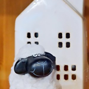 01. Sheep & cottage