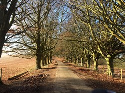 Bramdean & Hinton Ampner Parish Council Home