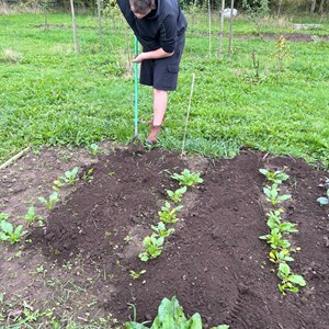 Red George Rural Skills Project Gallery