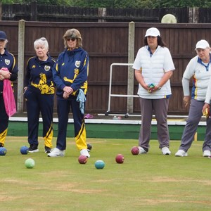 Aldiss Park Bowls Club County Ladies 4s Qtr/Sems