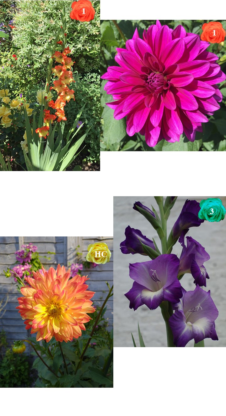 West Meon Garden Club FLOWERS (In Situ):
