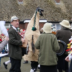 Morris dancers and wooden horse