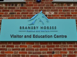 Bransby Horse Rescue