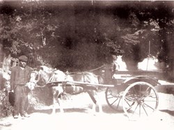 1902 Alice on her Grandmothers knee at KOE station
