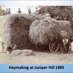 Mickleham & Westhumble Local History Group Not Such Everyday Lives