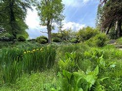 Bucklebury History Group The Dell - Carbinswood Lane