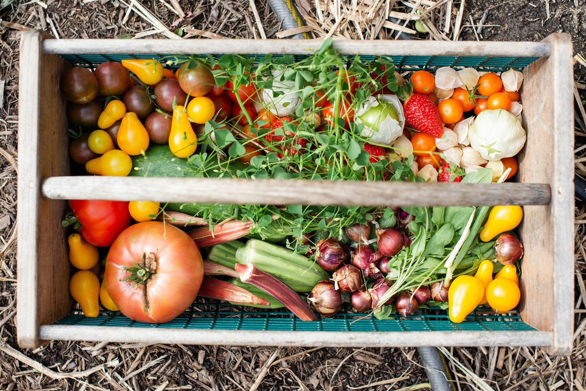 Malborough Parish Council Allotments