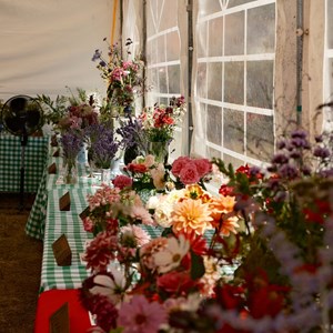 HBT Horticultural Society Photographs 2026