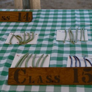 HBT Horticultural Society Photographs 2026